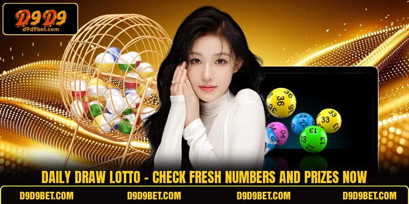 Daily Draw Lotto - Check Fresh Numbers And Prizes Now